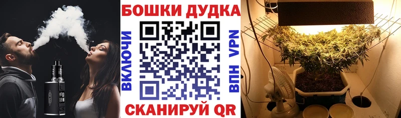 Где купить наркоту Губкин Гашиш Галлюциногенные грибы Альфа ПВП Меф мяу мяу АМФ КОКАИН Каннабис