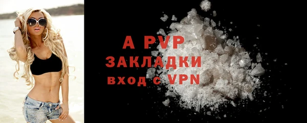 амф Бородино