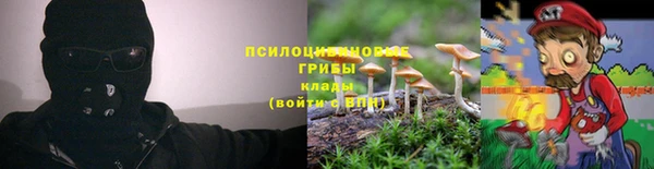 PSILOCYBIN Верхнеуральск