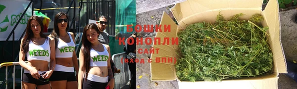 амф Бородино