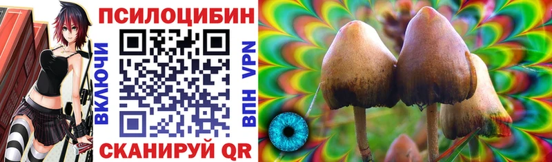 Галлюциногенные грибы GOLDEN TEACHER  Губкин 